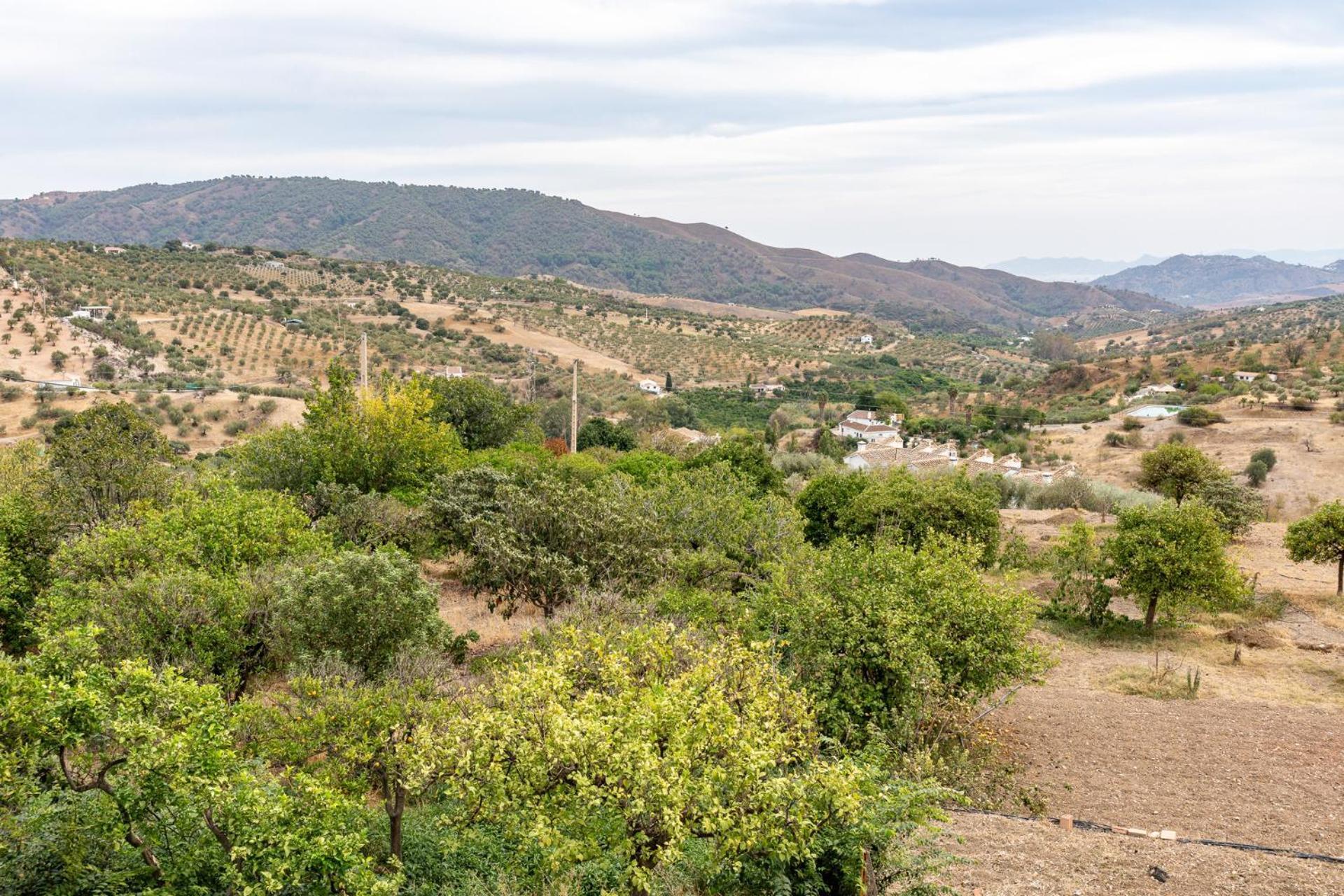 Malagasuite Cortijo Robles Casarabonela Exterior foto